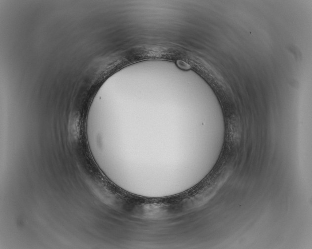 X0000112500216200908311459