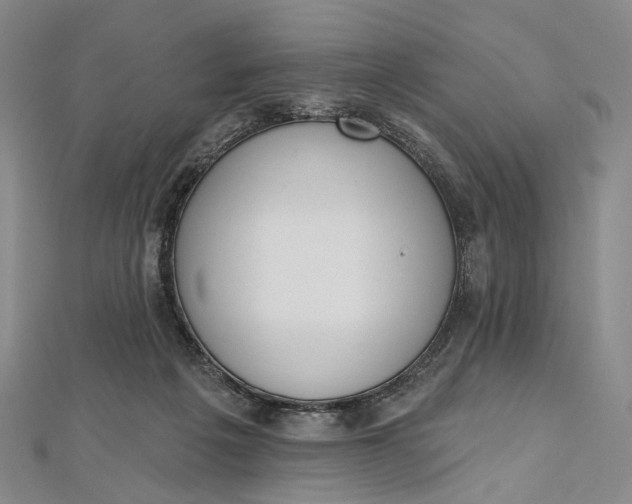 X0000112500217200908311459