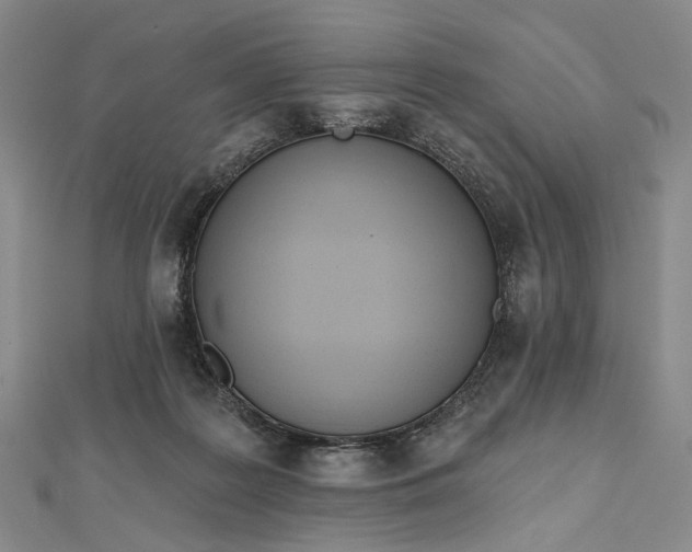 X0000112500219200908311459