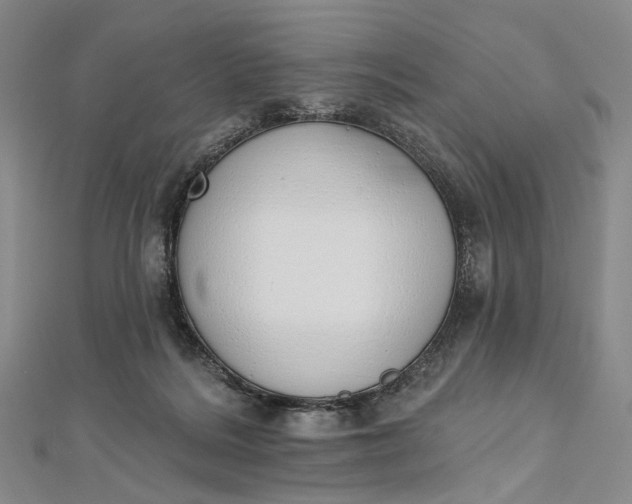 X0000112500220200908311459