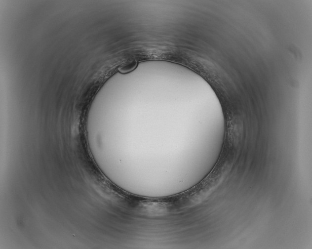 X0000112500221200908311459