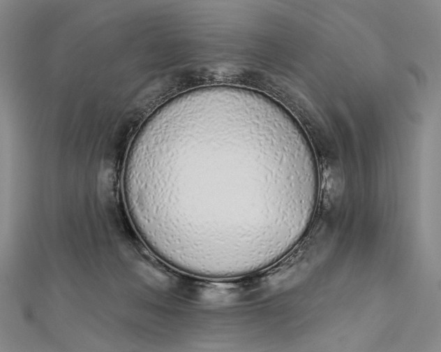 X0000112500222200908311459