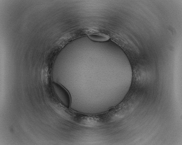 X0000112500223200908311459