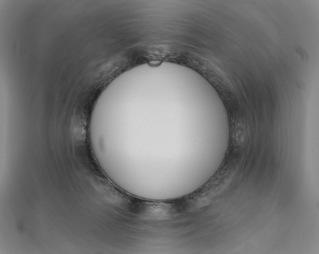 X0000112500226200908311459