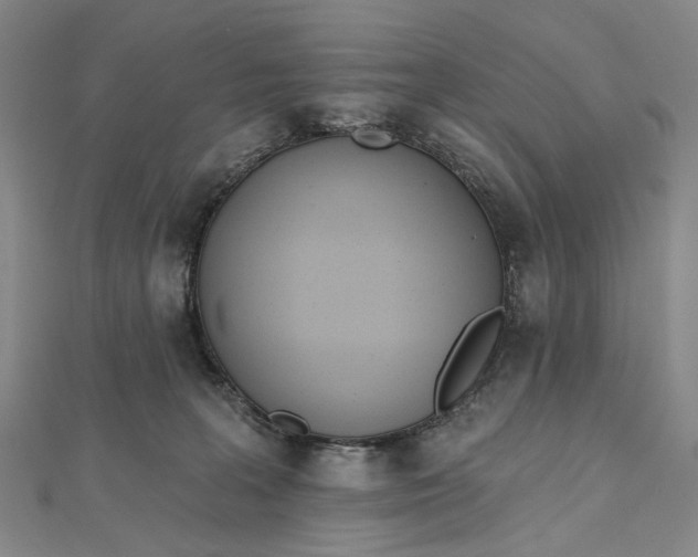 X0000112500227200908311459