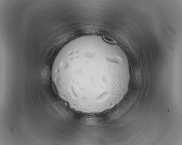 X0000112500228200908311459