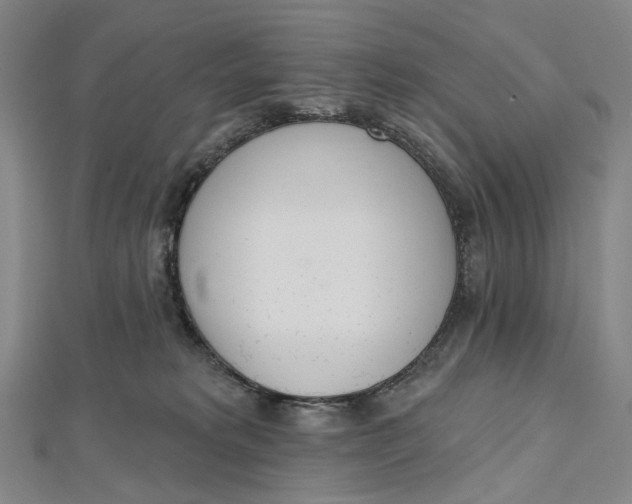 X0000112500229200908311459