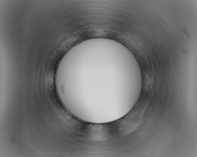 X0000112500230200908311459