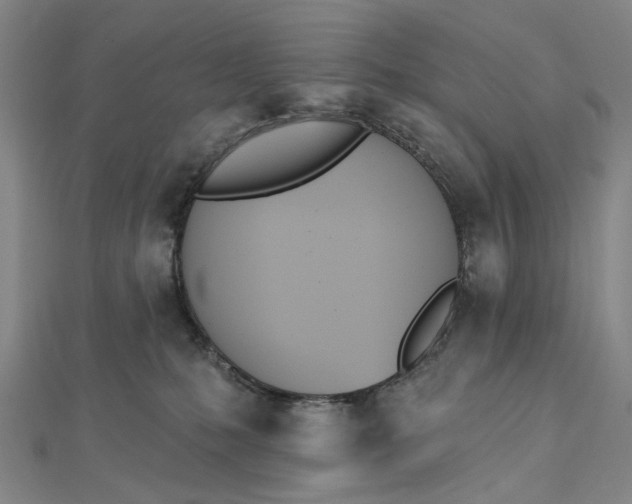 X0000112500231200908311459