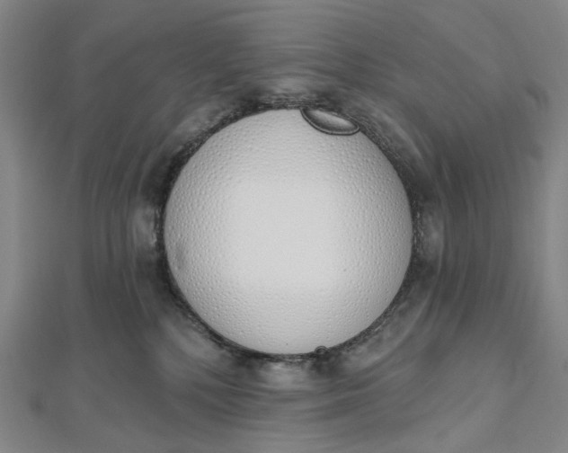 X0000112500232200908311459