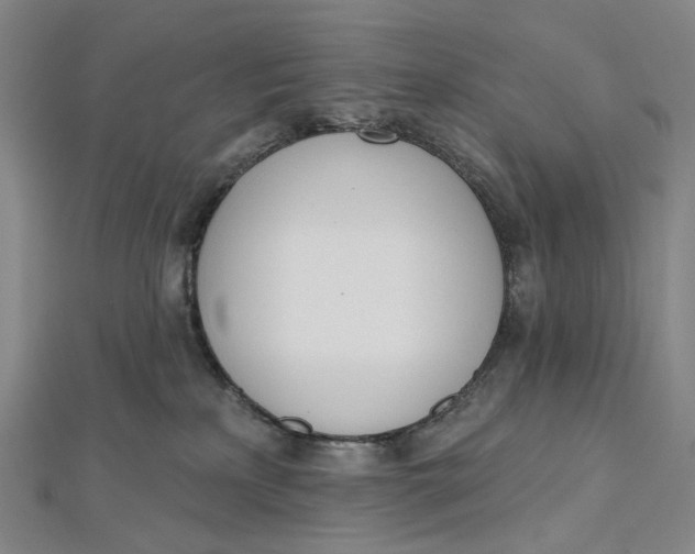 X0000112500233200908311459