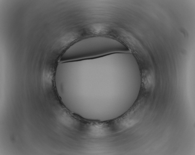 X0000112500235200908311459