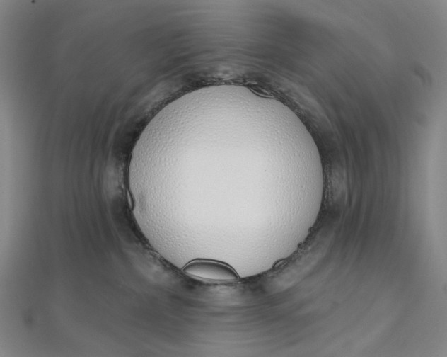 X0000112500236200908311459