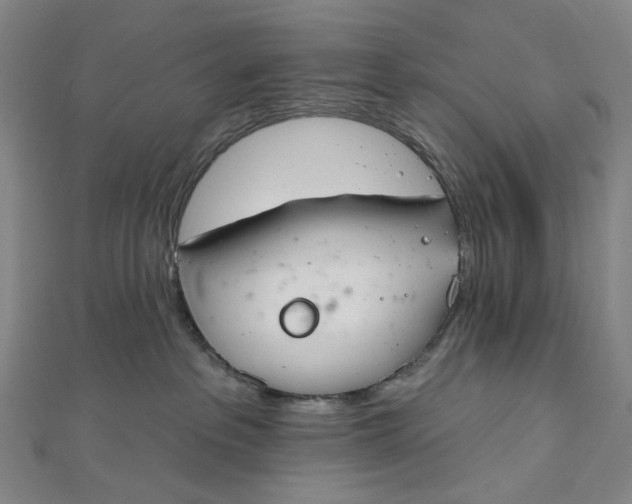 X0000112500237200908311459