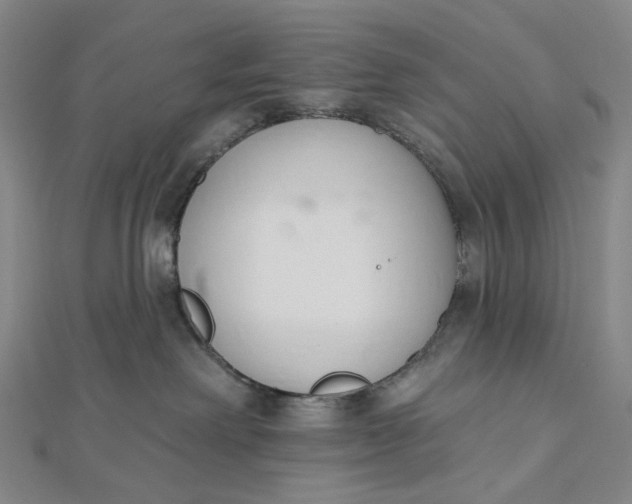 X0000112500238200908311459