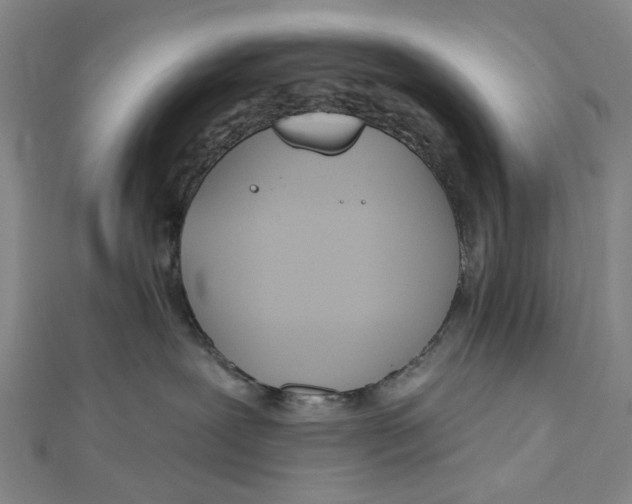 X0000112500239200908311459