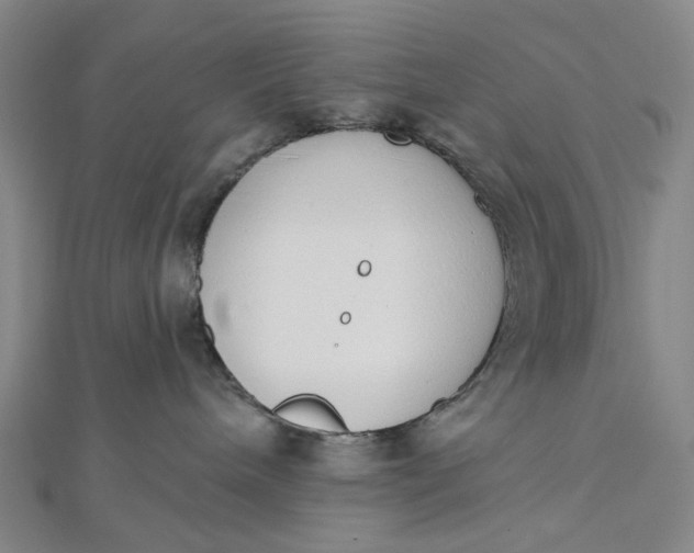 X0000112500240200908311459