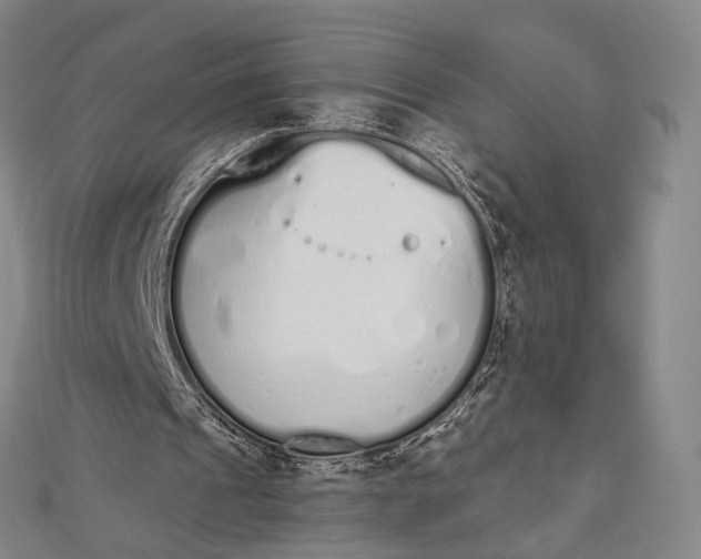 X0000112500241200908311458