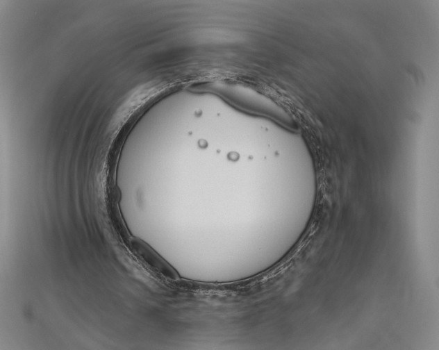 X0000112500242200908311458