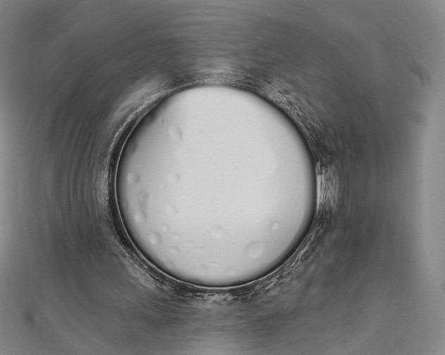 X0000112500243200908311458