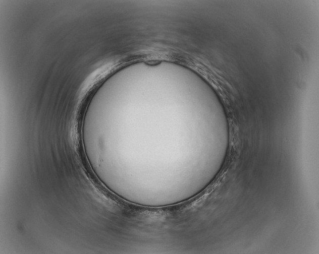 X0000112500245200908311458