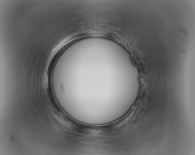 X0000112500246200908311458