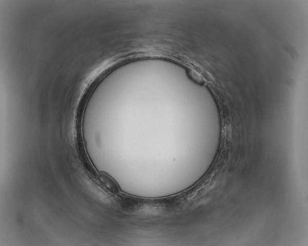 X0000112500248200908311458