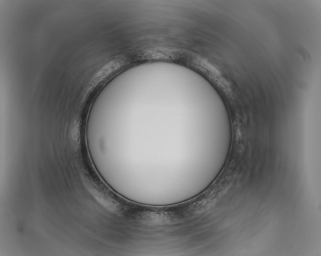 X0000112500250200908311458