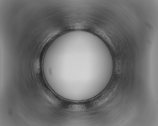 X0000112500251200908311458