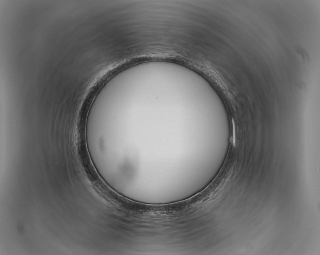 X0000112500252200908311458