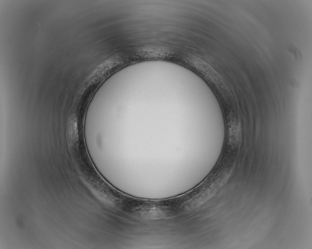 X0000112500254200908311458