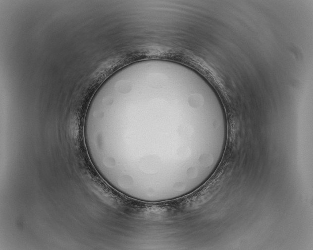 X0000112500257200908311458