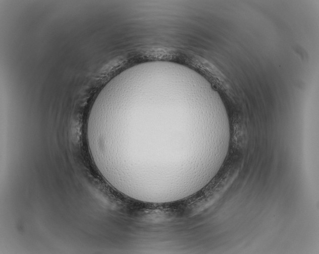 X0000112500259200908311458