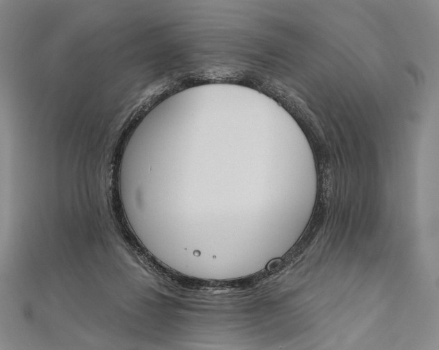 X0000112500260200908311458