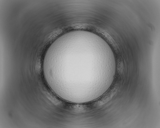 X0000112500261200908311458