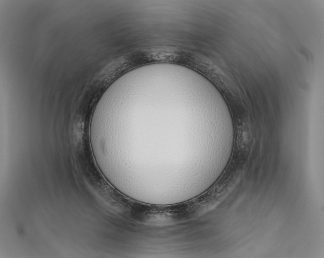 X0000112500263200908311458