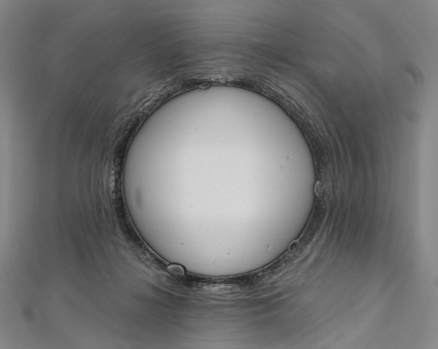 X0000112500268200908311458