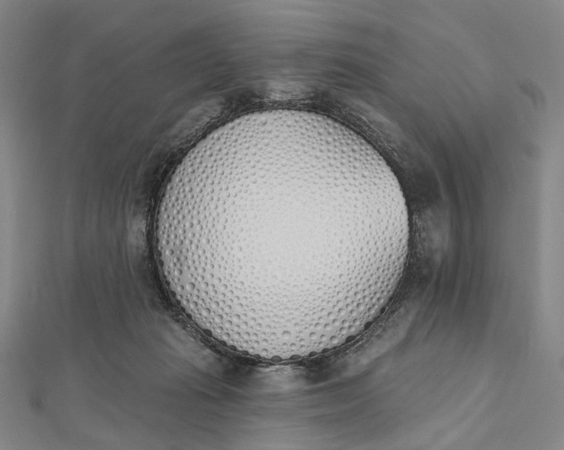 X0000112500269200908311458