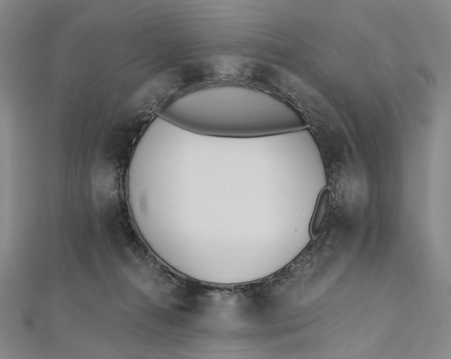 X0000112500272200908311458