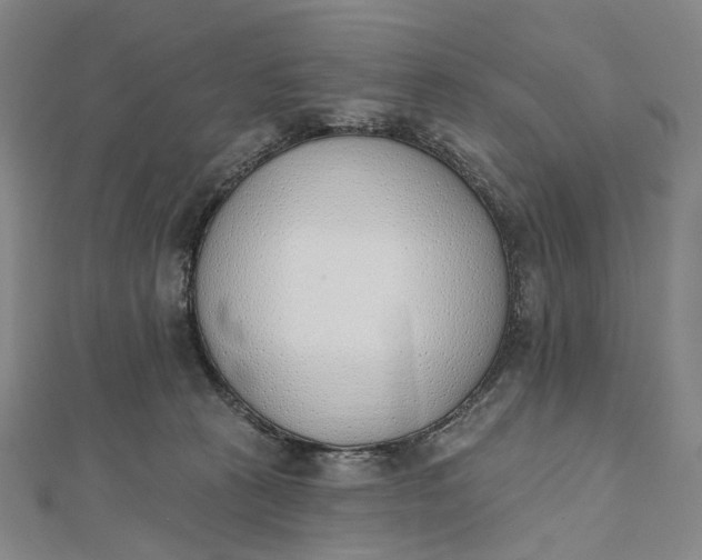 X0000112500273200908311458