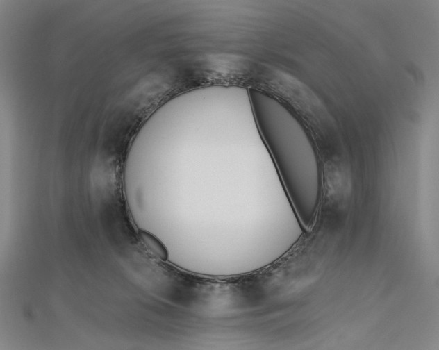 X0000112500276200908311458