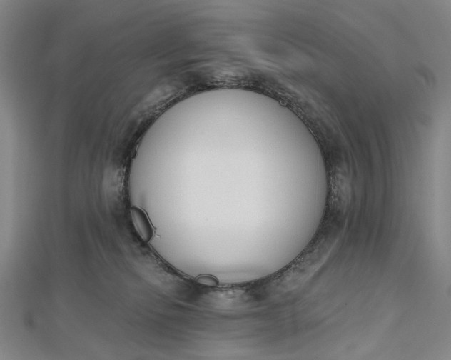 X0000112500278200908311459