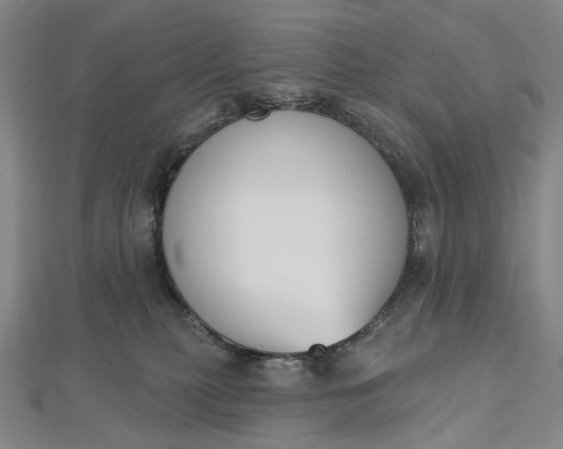 X0000112500279200908311459