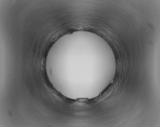 X0000112500280200908311459