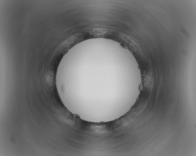 X0000112500283200908311459