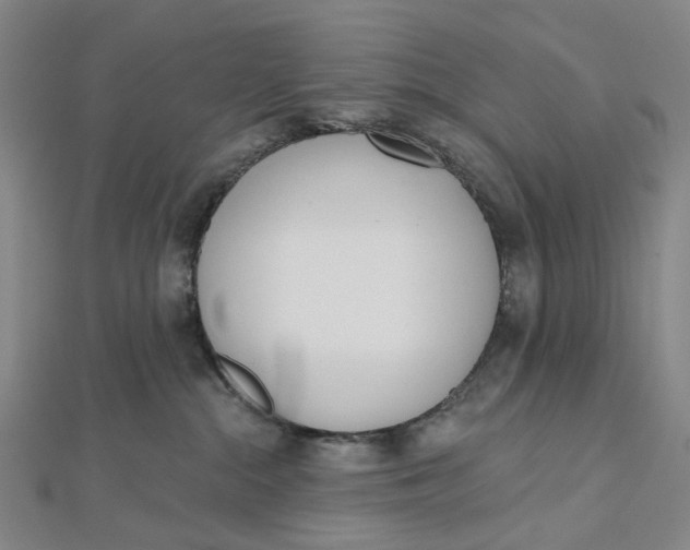 X0000112500284200908311459