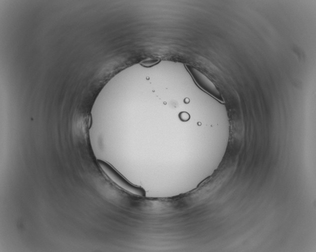 X0000112500286200908311459