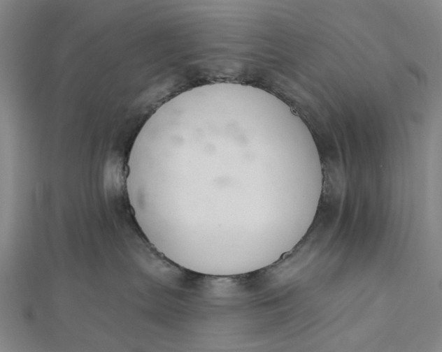 X0000112500287200908311459