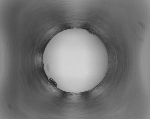 X0000112500288200908311459