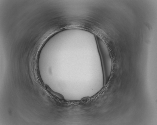 X0000112500289200908311458